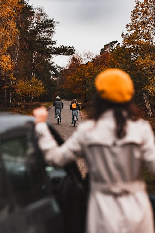 Foto profissional grátis de andar de bicicleta, árvores, bicicletas