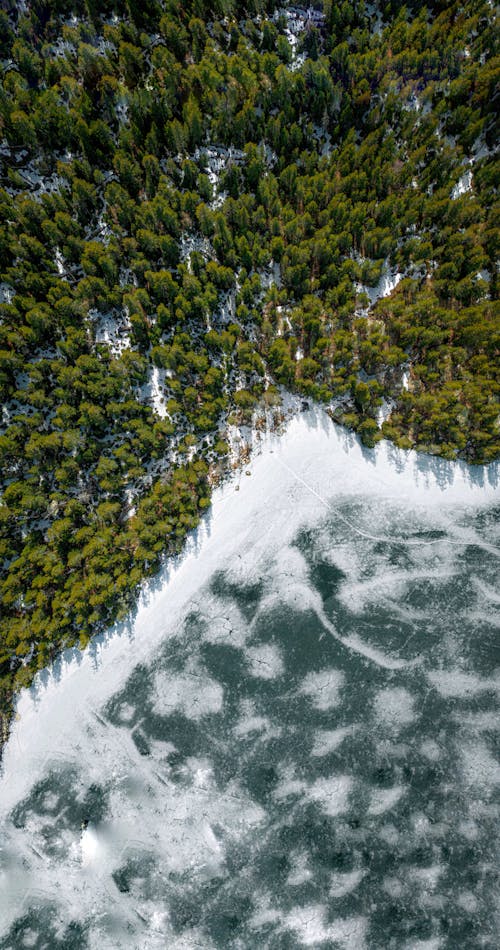 Fotos de stock gratuitas de bosque, congelado, foto con dron