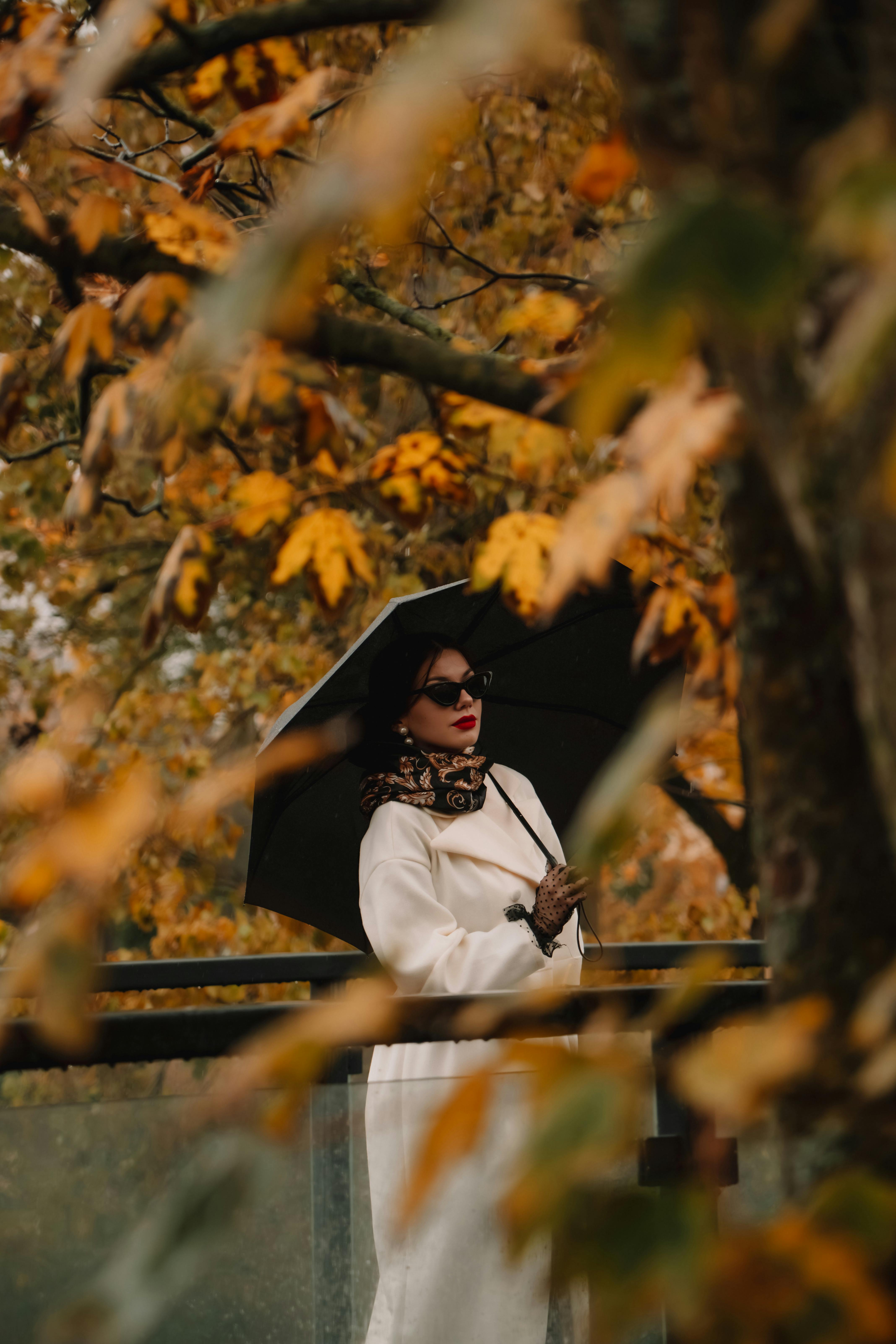 Colored Trees Photos, Download The BEST Free Colored Trees Stock Photos ...