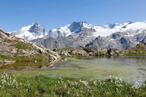 Foto d'estoc gratuïta de cobert de neu, fons de pantalla, idíl·lic