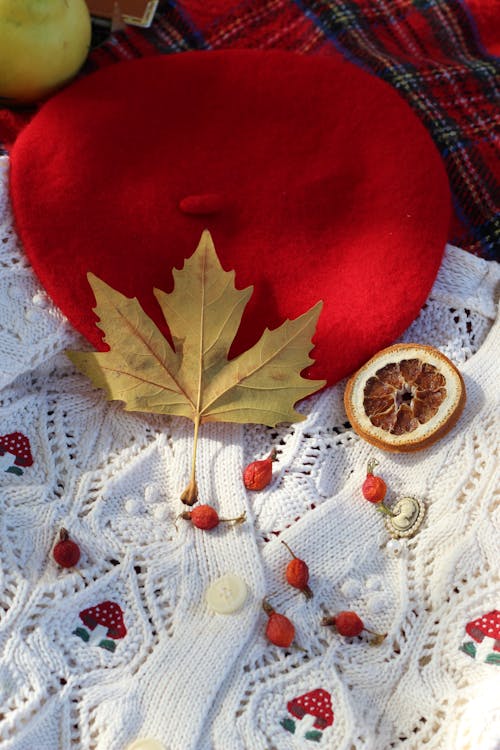 Yellow Maple Leaf and a Red Beret 