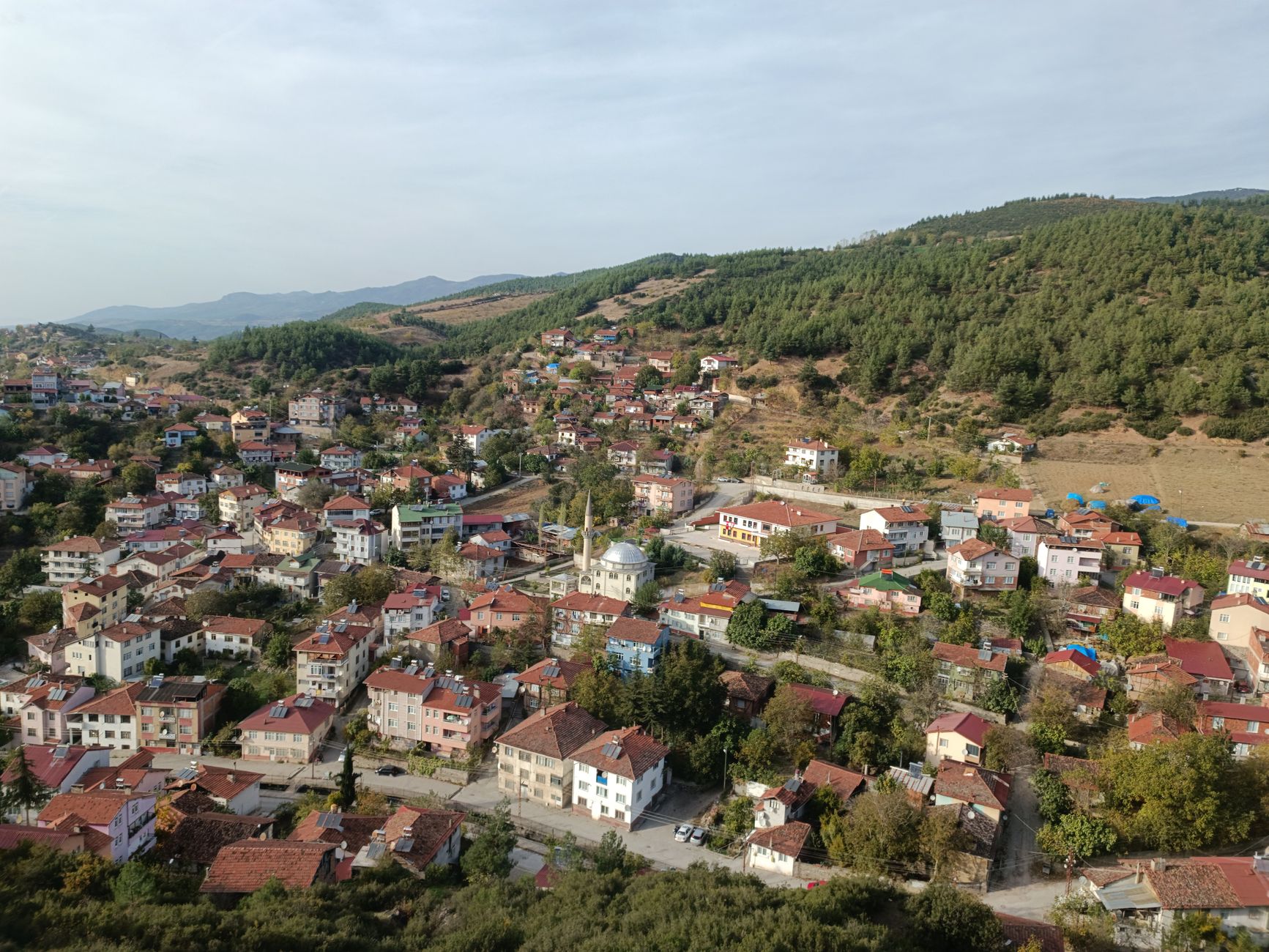 Simen Vatne Haram