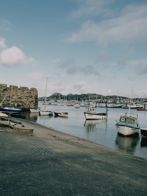 Motorboats in the Dock 