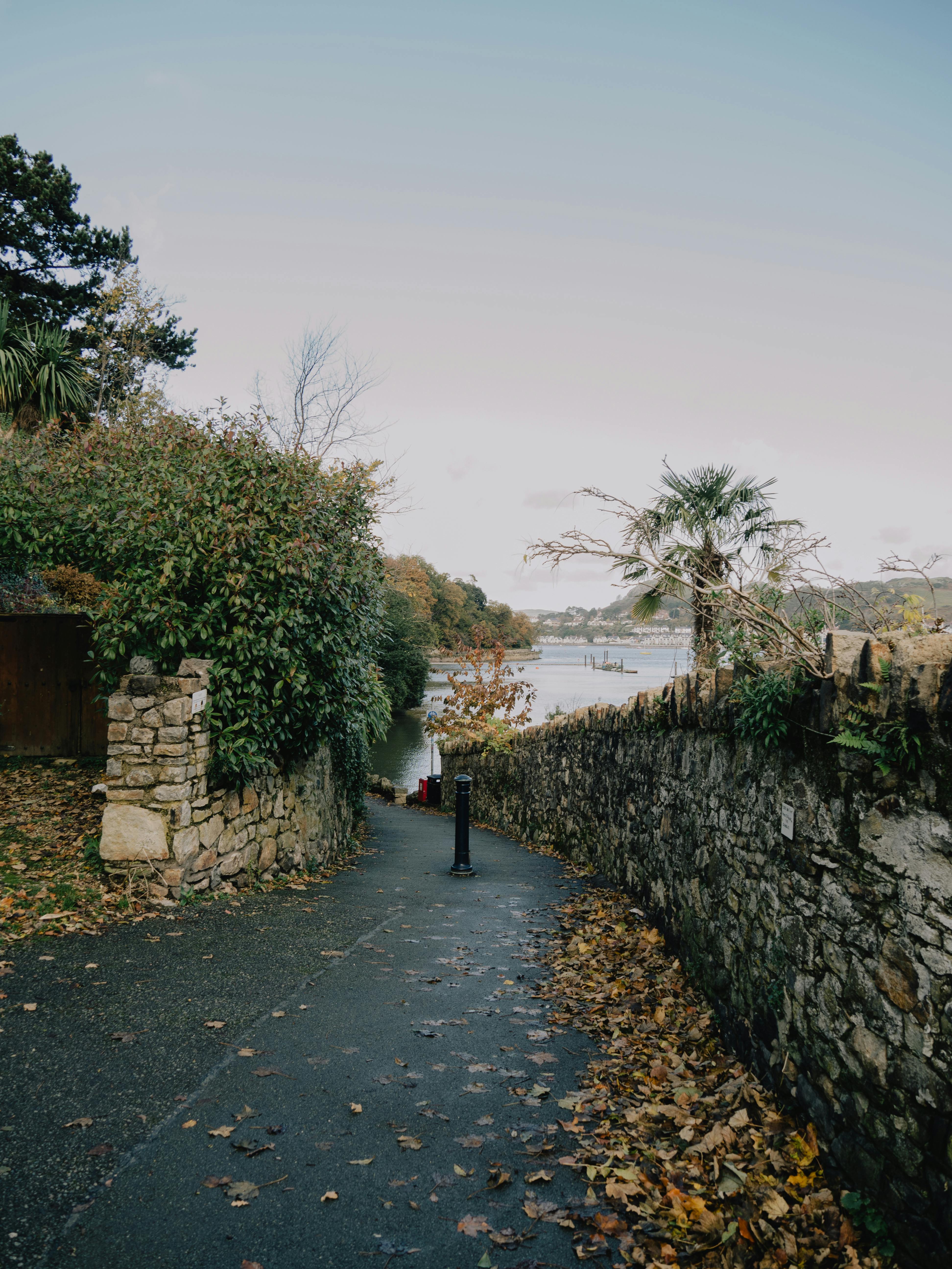 A picturesque autumn walkway in Conwy, Wales leading to a scenic waterfront view.