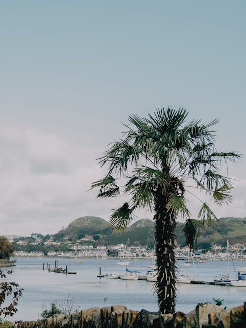 Gratis stockfoto met bergen, boten, dok