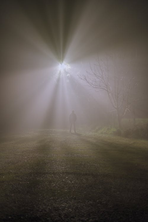 nebbia, 光, 盧斯 的 免費圖庫相片