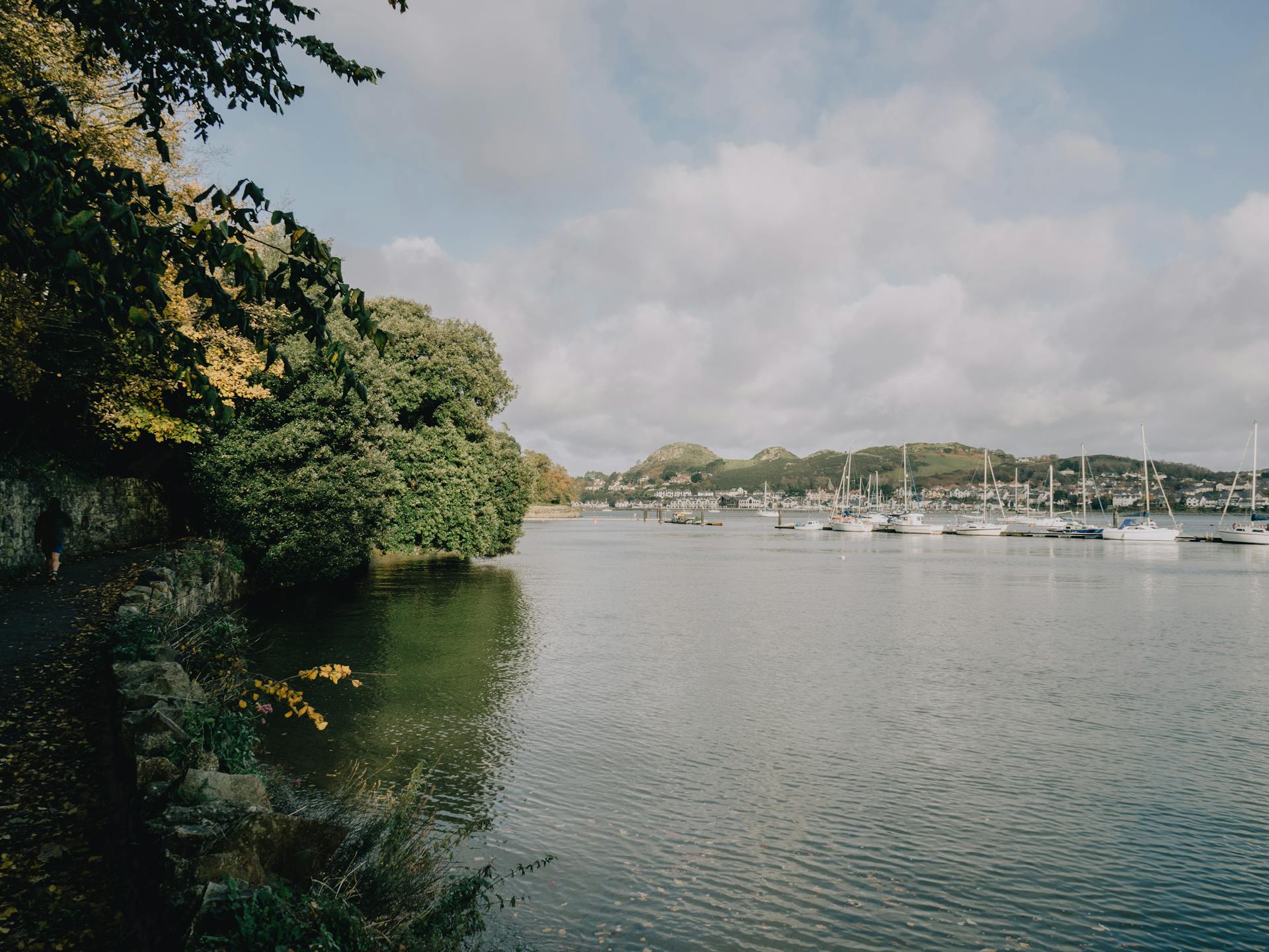 Promenade along River with Marina