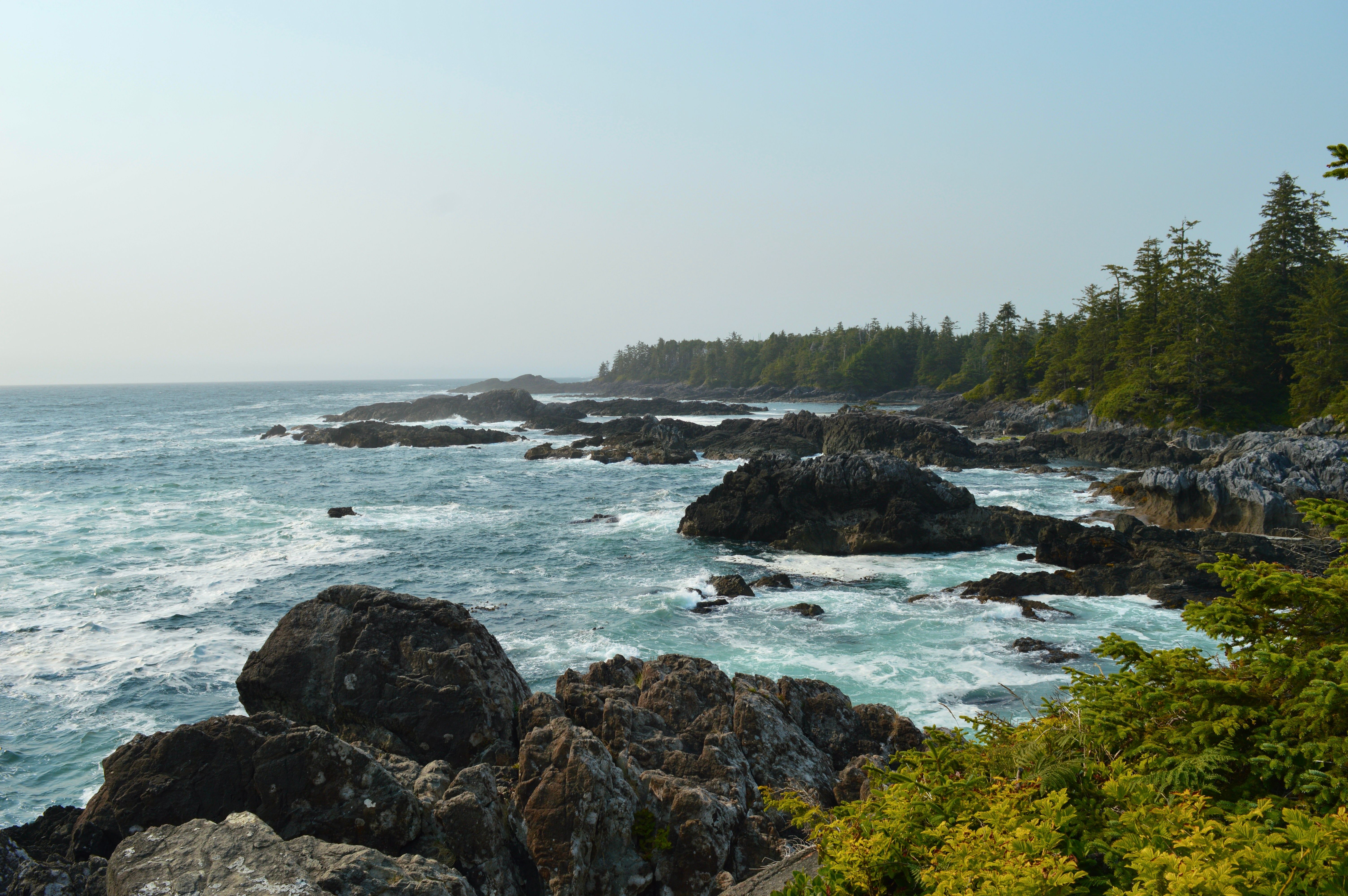 Canada Coastline Photos, Download The BEST Free Canada Coastline