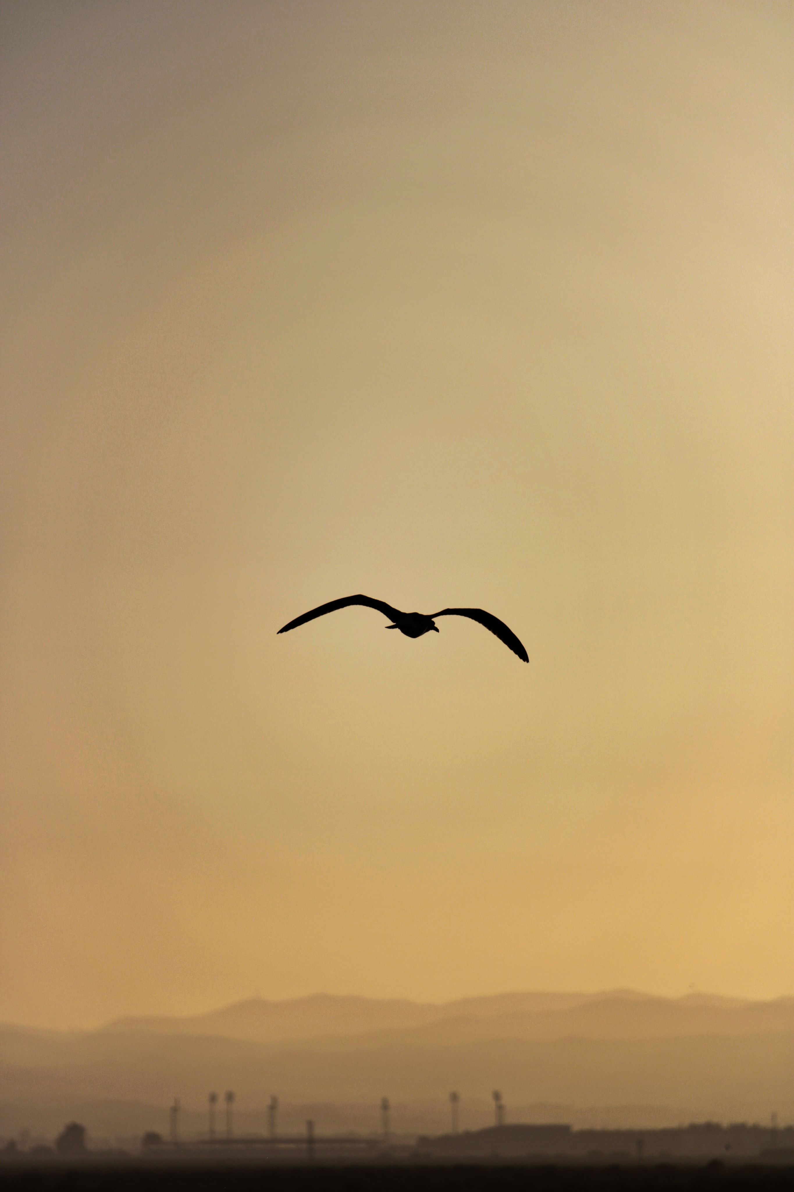 Fotomural Fotolia