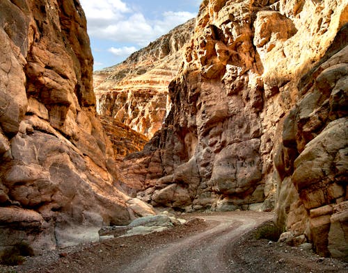 地質学, 小径, 峡谷の無料の写真素材