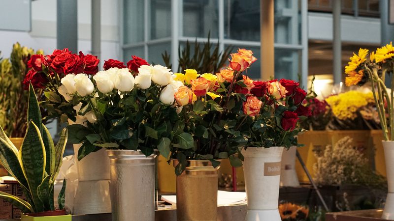 Buckets of fresh cut flowers inside a flower shop