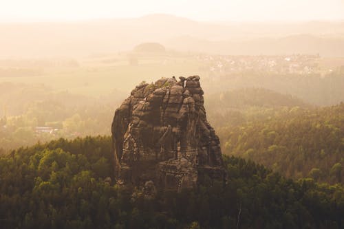 Immagine gratuita di collina, foresta, germania