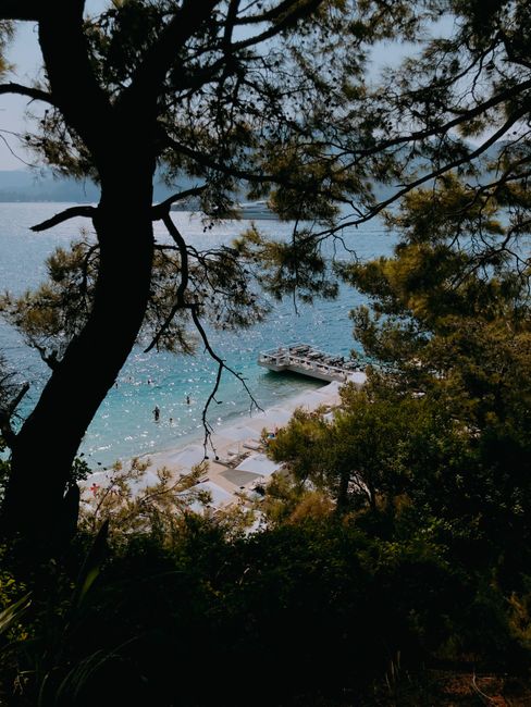 A serene beach view with a pier, surrounded by lush trees in Göcek, Türkiye.