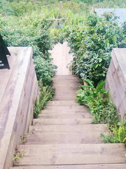 계단, 아래층, 아름다운 산책로의 무료 스톡 사진