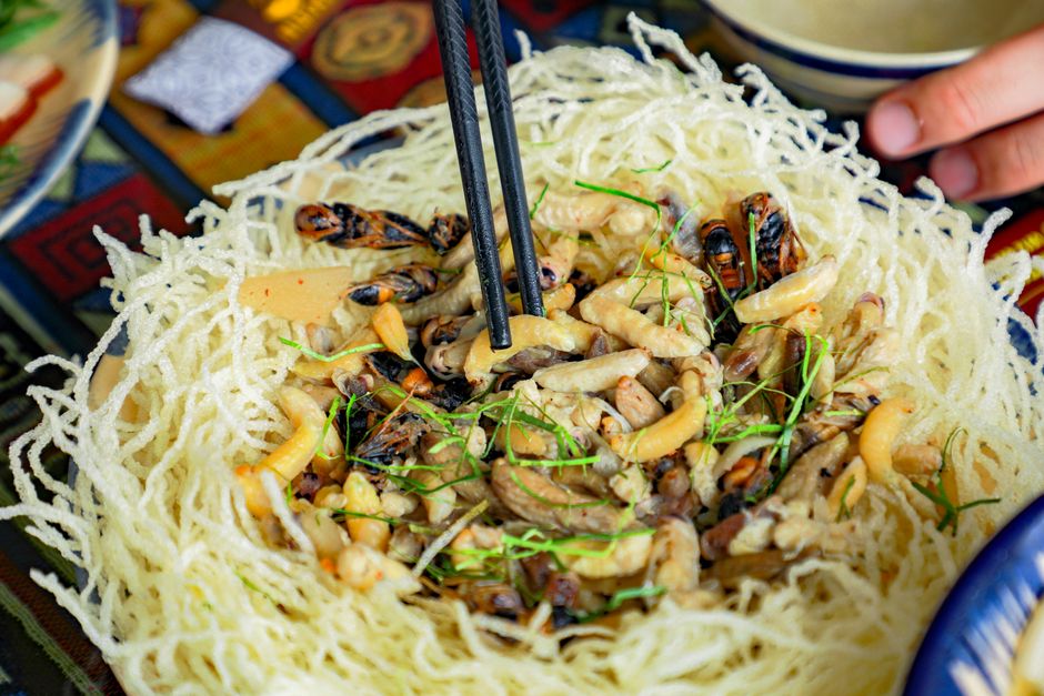 A close-up of an exotic insect dish featuring crispy noodles and chopsticks for unique culinary photography.