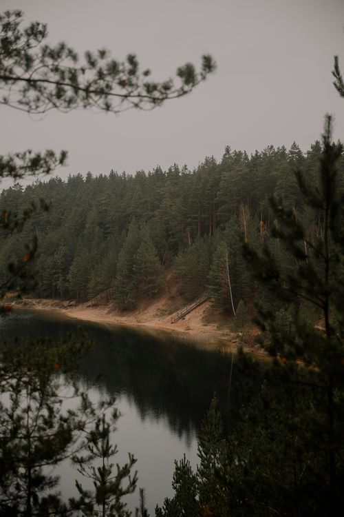 Free A peaceful lakeside forest captured in autumn, showcasing rich greenery and still waters. Stock Photo