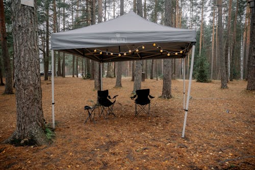 Gratis arkivbilde med beskyttelse, campe, camping