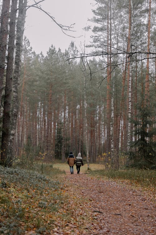 People Hiking in Woods in Autumn