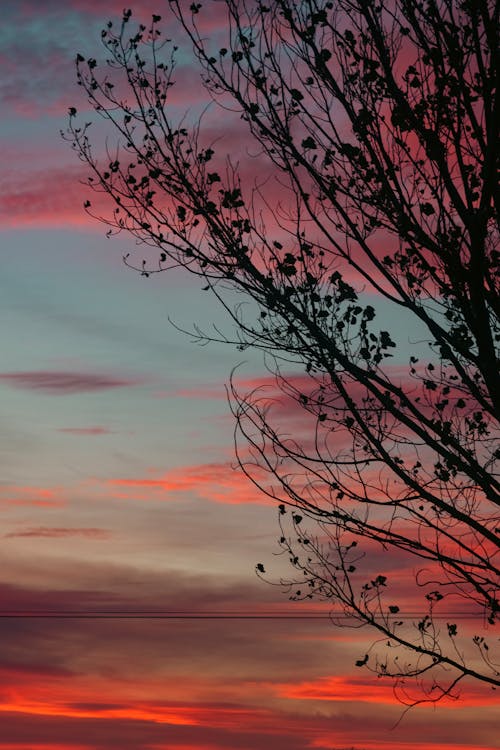 Gratis lagerfoto af humørlig himmel, lodret skud, silhouet