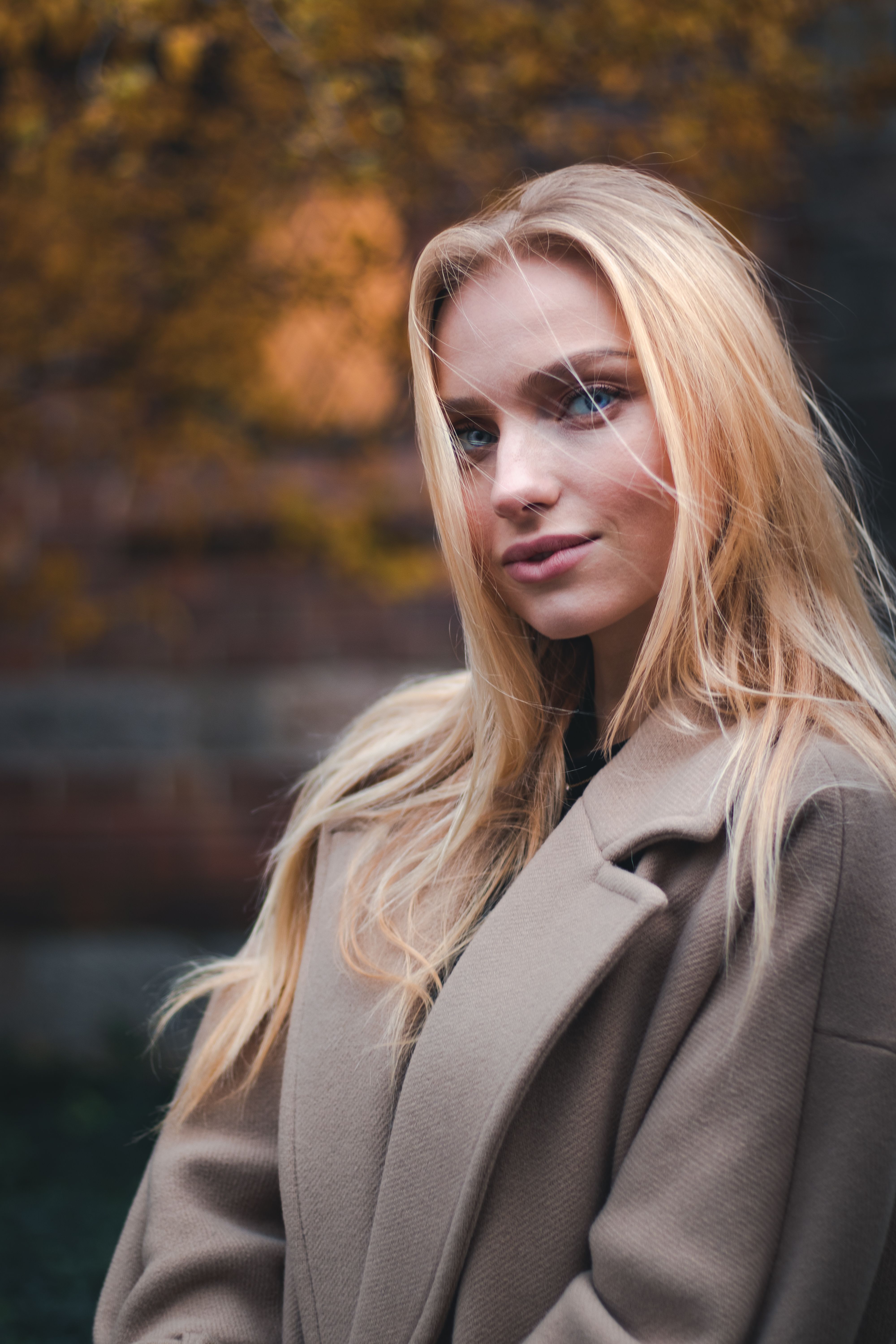 Portrait of a Woman in a Park · Free Stock Photo