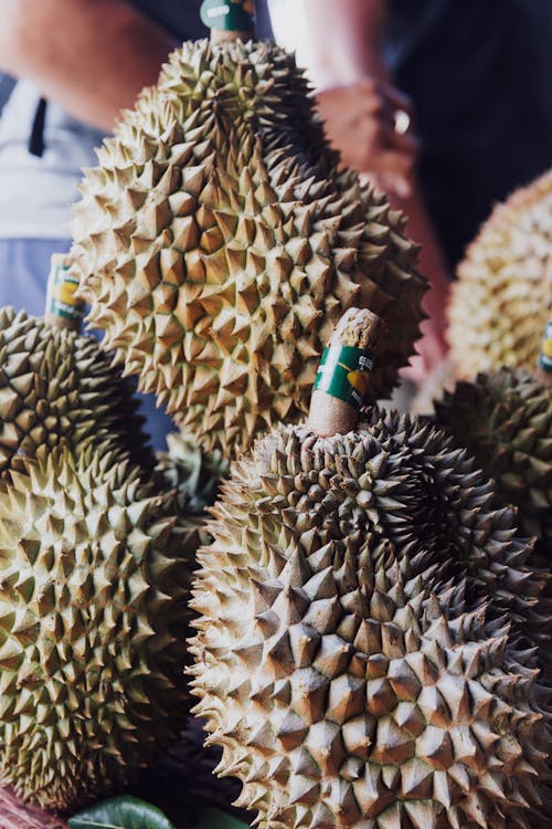 Pile of Durian Fruits