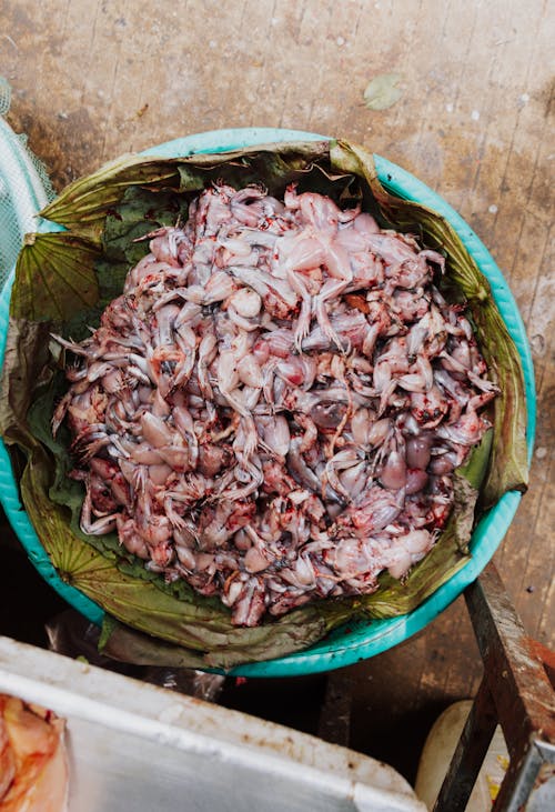 Fotos de stock gratuitas de atrapar, comida, contenedor