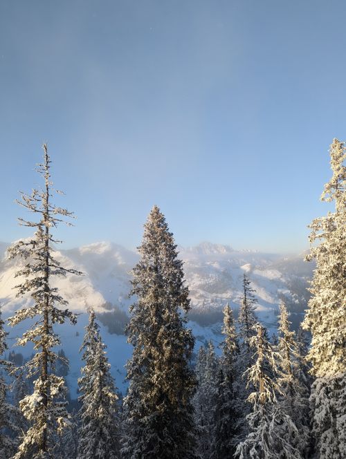 Free Captivating snowy mountains and trees in Saalbach-Hinterglemm, Austria. Stock Photo