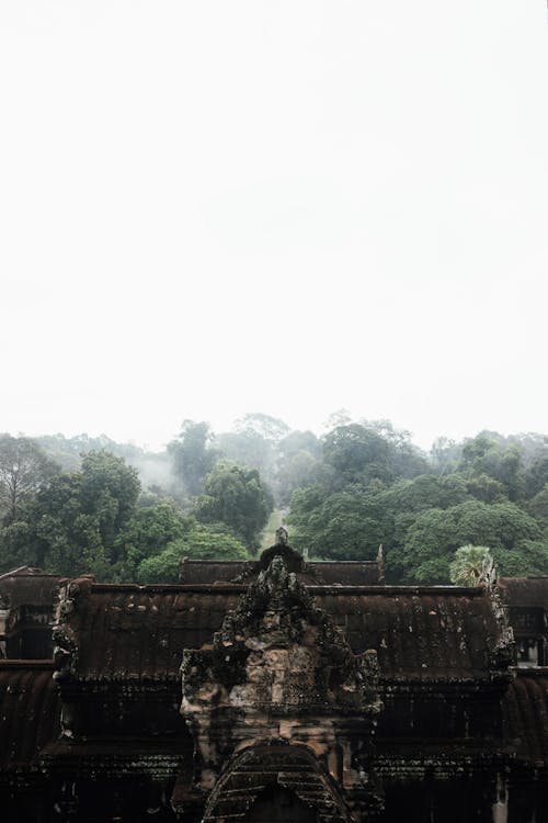 View of the Roof of a Temple and Dense Forest in Fog 