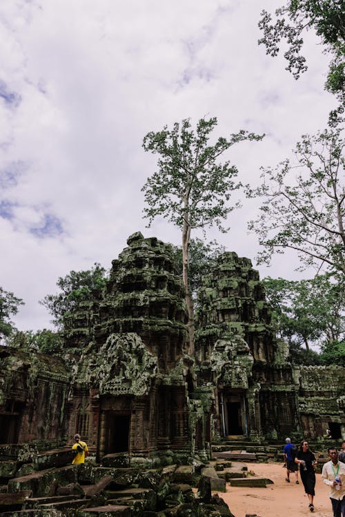 Ta Prohm Temple in Siem Reap, Cambodia