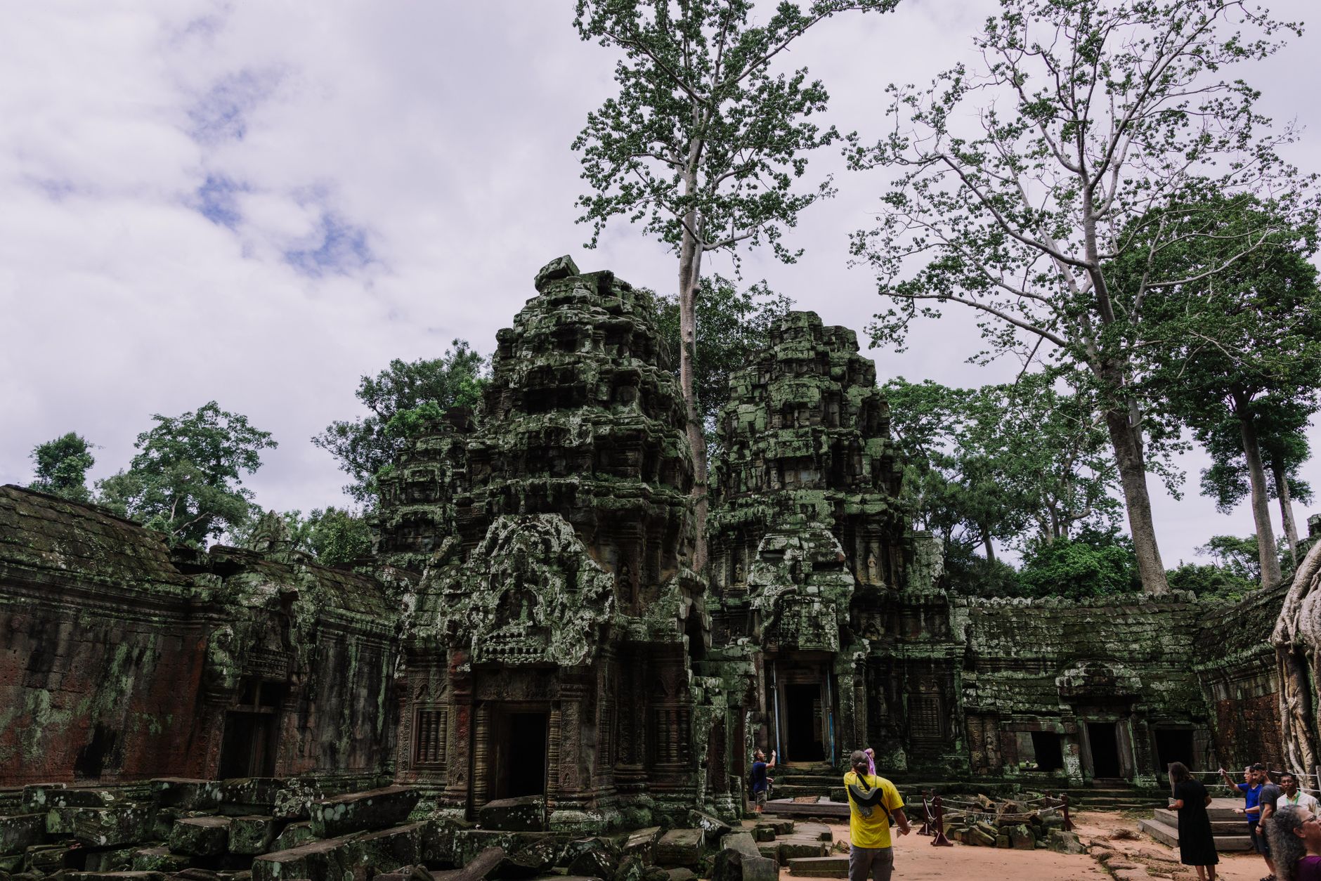 Explore the ancient ruins of Ta Prohm Temple, surrounded by lush trees in Cambodia.