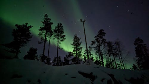 Immagine gratuita di alberi, aurora boreale, cielo sereno