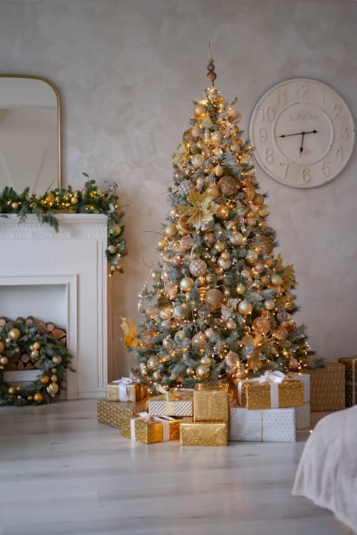 Presents under Christmas Tree in Living Room