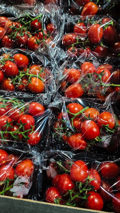 Tomatoes in Bags