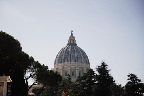 Dome of St Peters Basilica behind Trees