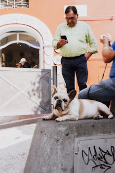 A man in a green shirt uses a smartphone near a resting dog in a lively urban setting under the sun.