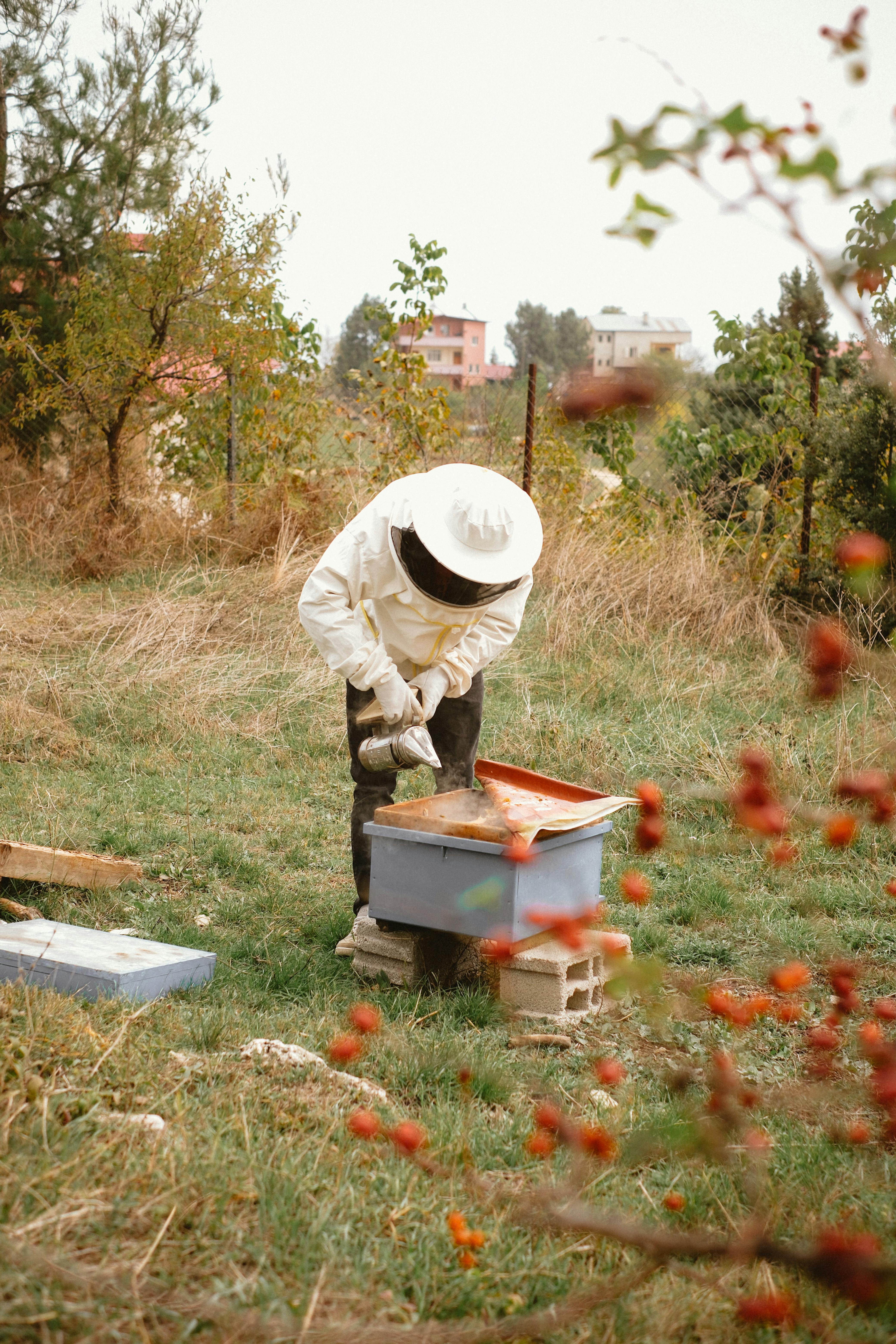 Beekeeper in protective suit tending to a beehive in a garden setting.