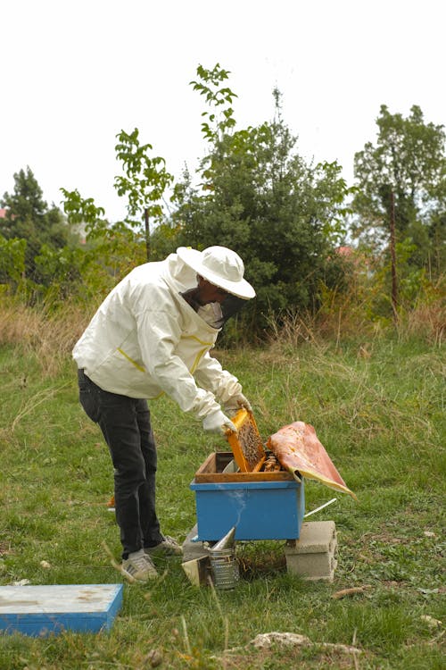Gratis lagerfoto af arbejder, beskyttende tøj, biavler