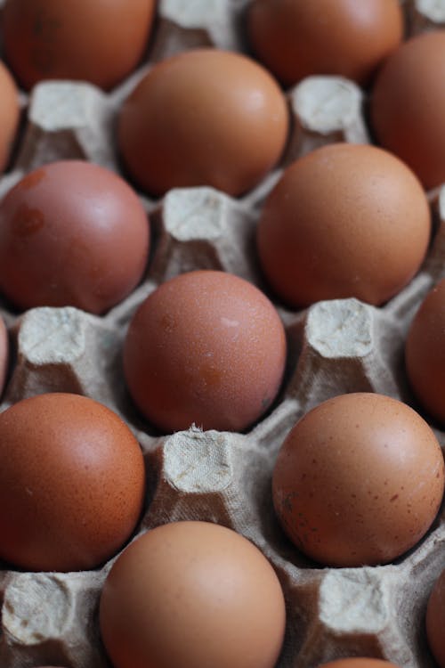 Close-up of Chicken Eggs in a Cardboard Tray