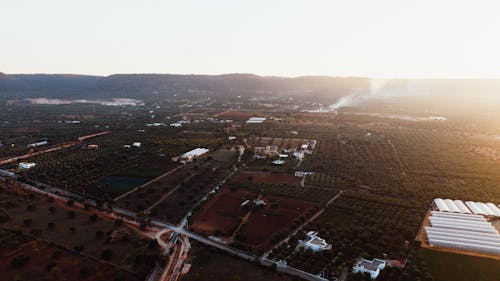 ağaçlar, arazi, drone çekimi içeren Ücretsiz stok fotoğraf