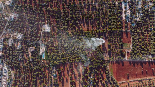 Aerial Landscape with Fields