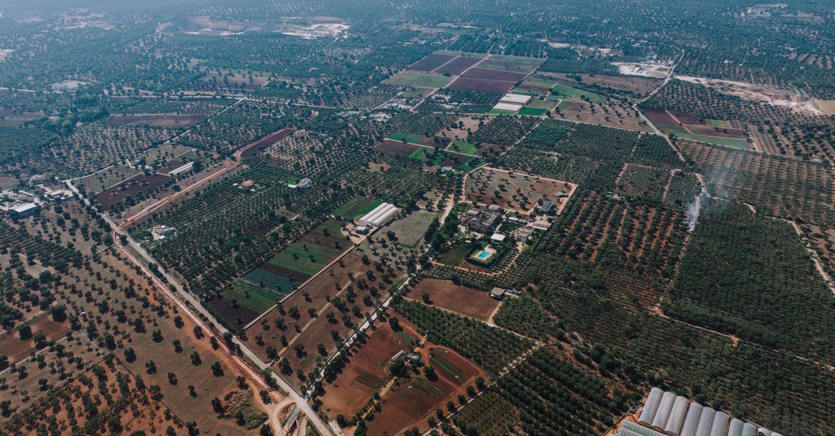 Ruvo di Puglia