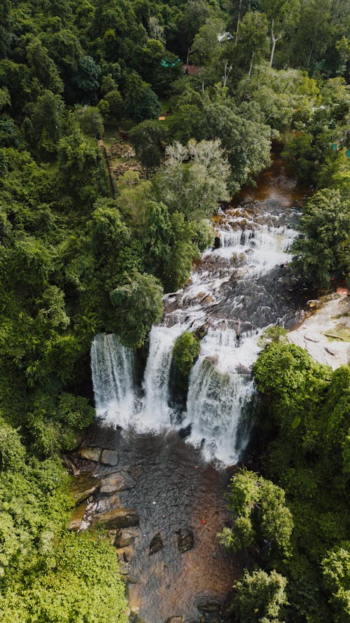 Immagine gratuita di acqua corrente, alberi, cascate