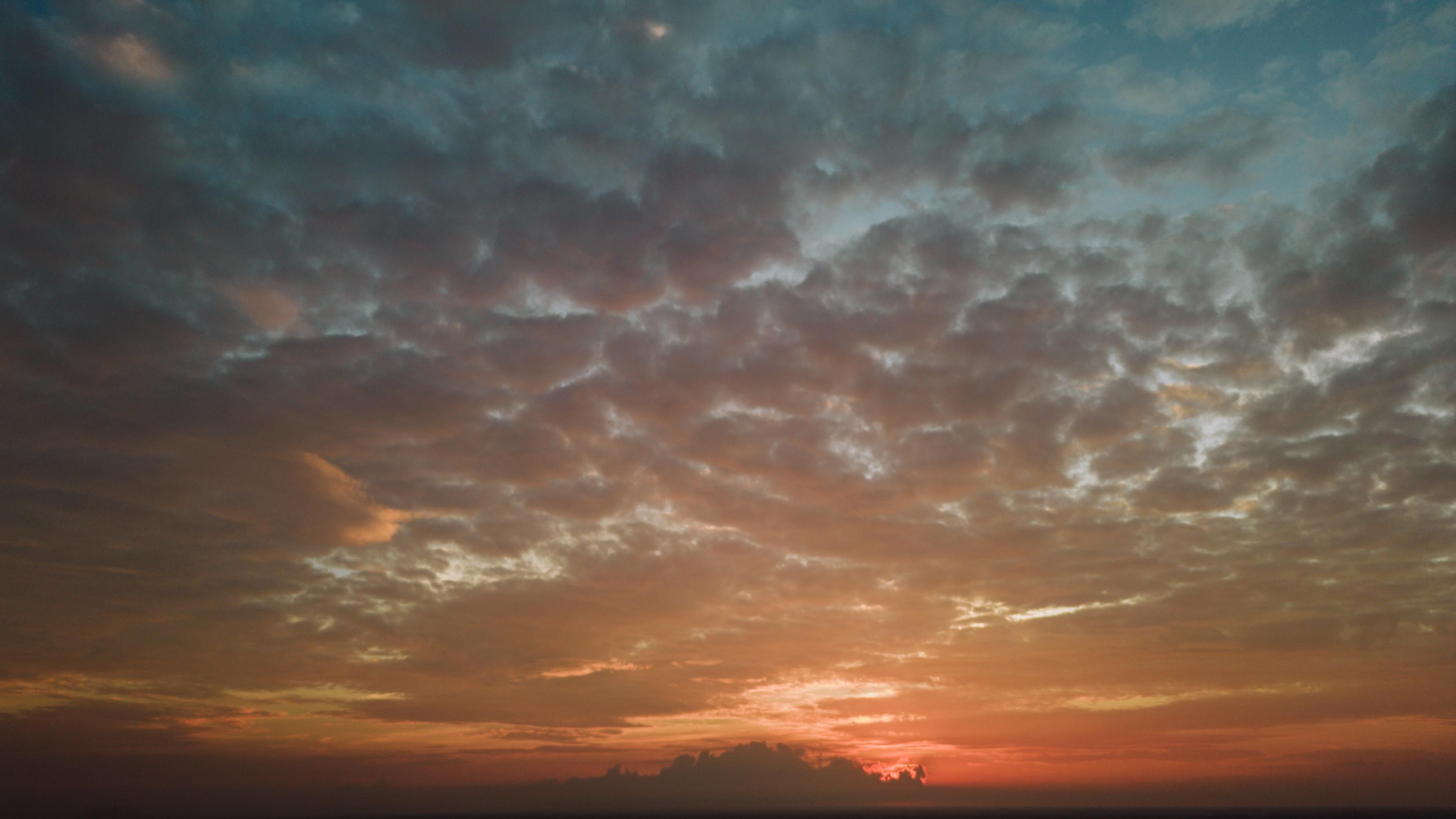 First Sunrise On The Reaping Reactions Tease Another Hit