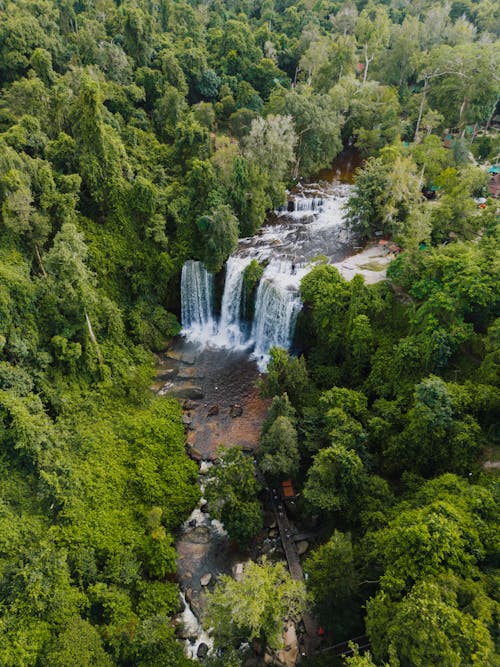 Immagine gratuita di acqua corrente, alberi, cascate