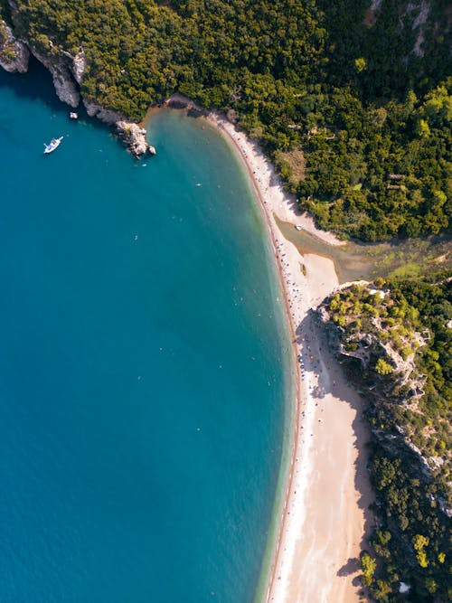 Gratis stockfoto met bomen, dronefoto, strand