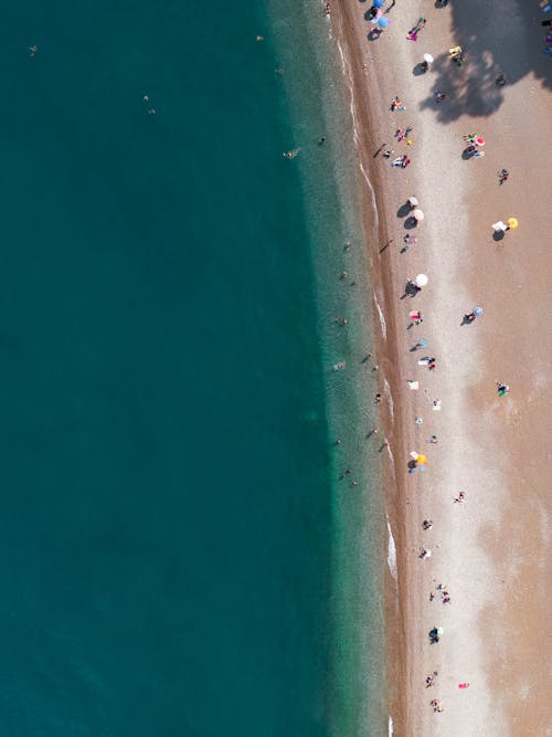 Aerial Photography of a Seashore