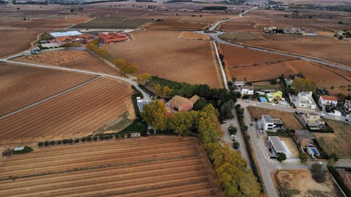 Drone Shot of Fields