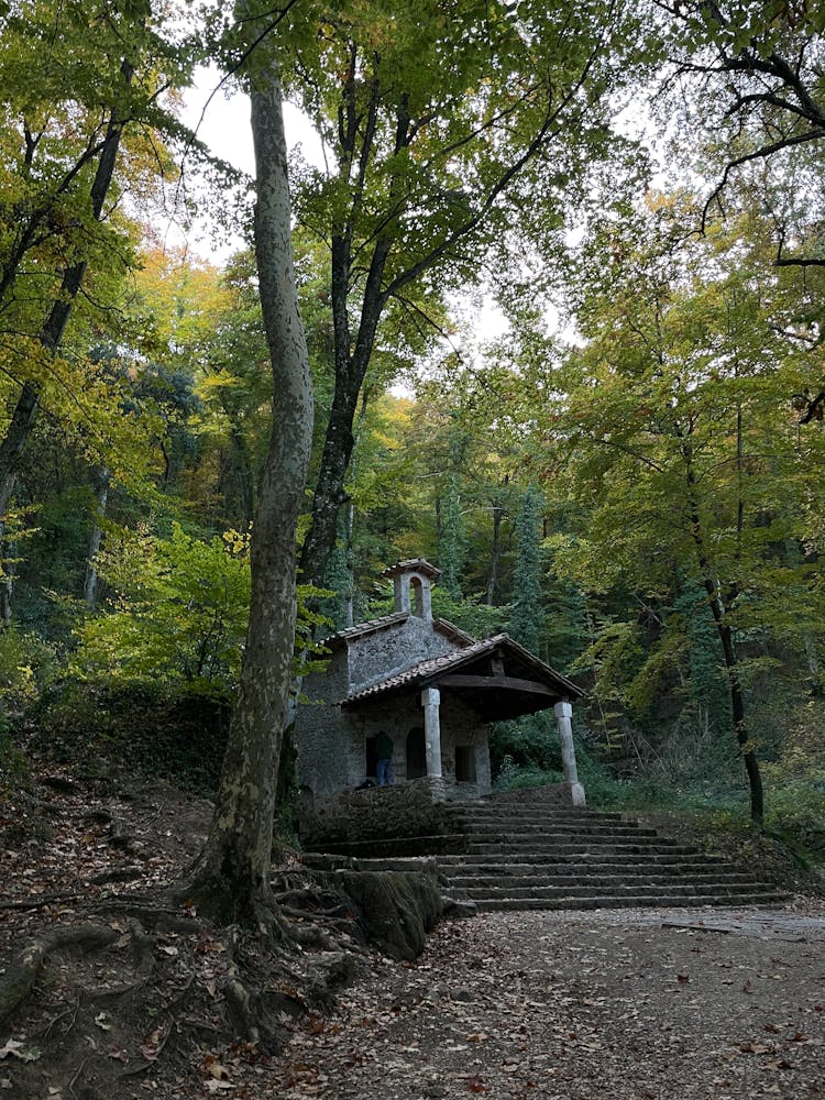 San Miquel Del Corb Hermitage In Forest In Spain