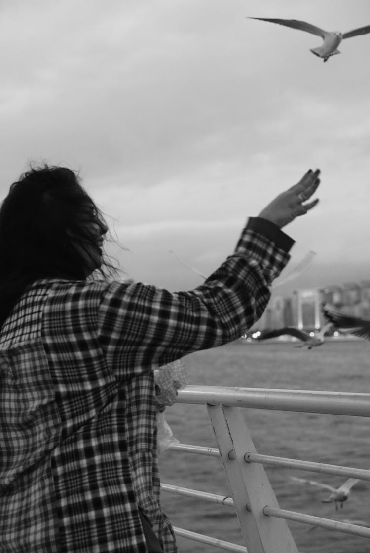 Woman Looking At Seagull In Black And White 