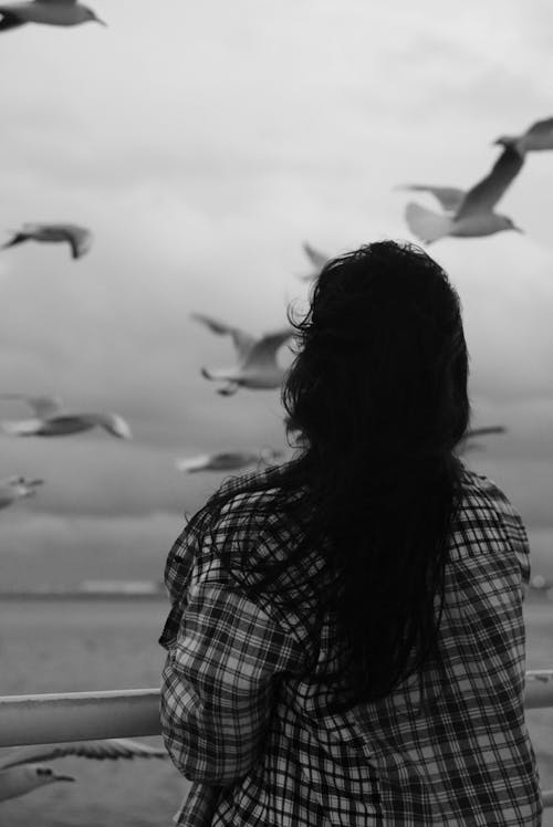 Free Back View of Woman in Shirt Standing with Seagulls Flying around Stock Photo